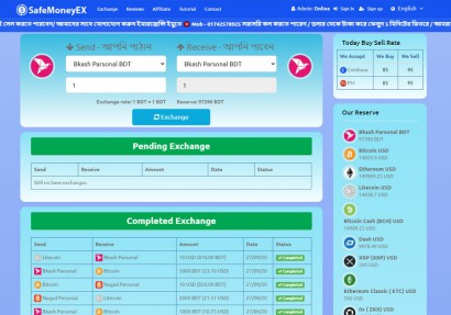 Nice Money Exchange Website Development
